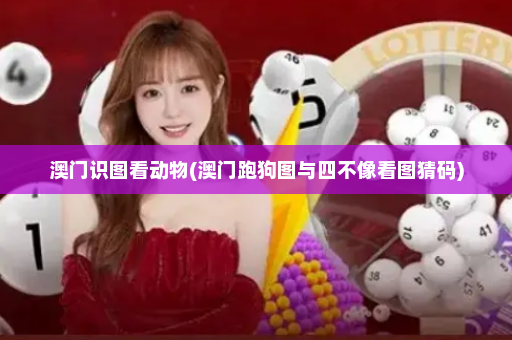 澳门识图看动物(澳门跑狗图与四不像看图猜码)