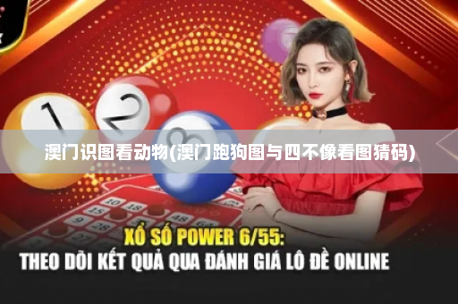 澳门识图看动物(澳门跑狗图与四不像看图猜码)