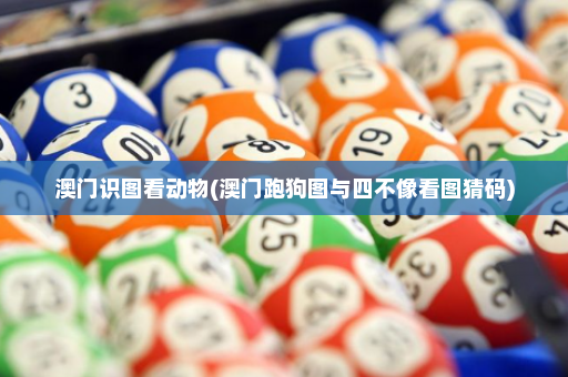 澳门识图看动物(澳门跑狗图与四不像看图猜码)