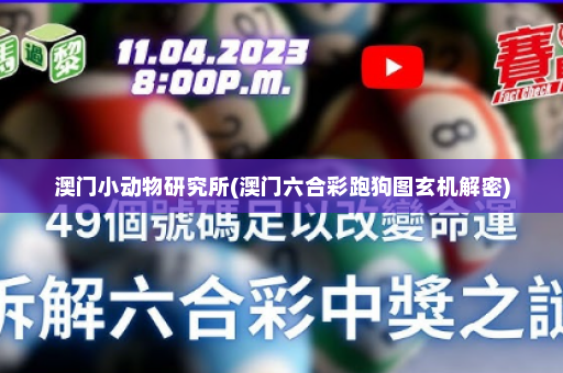 澳门小动物研究所(澳门六合彩跑狗图玄机解密)