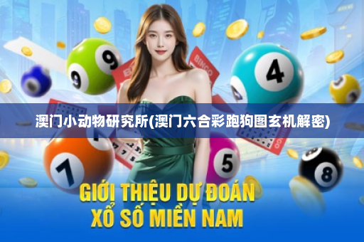 澳门小动物研究所(澳门六合彩跑狗图玄机解密)
