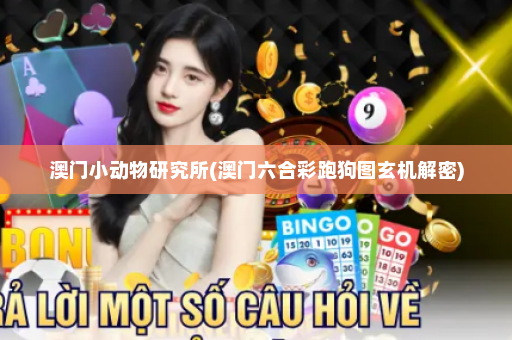 澳门小动物研究所(澳门六合彩跑狗图玄机解密)