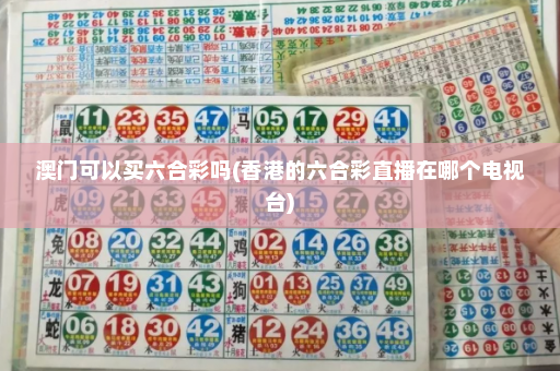澳门可以买六合彩吗(香港的六合彩直播在哪个电视台) 澳门可以买六合彩吗(香港的六合彩直播在哪个电视台)