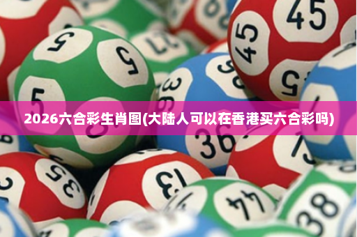 2026六合彩生肖图(大陆人可以在香港买六合彩吗)