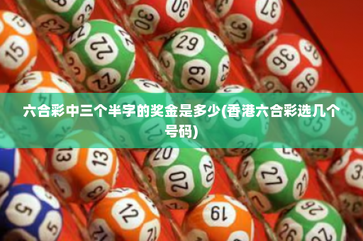 六合彩中三个半字的奖金是多少(香港六合彩选几个号码)