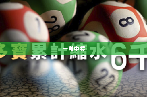 一肖中特