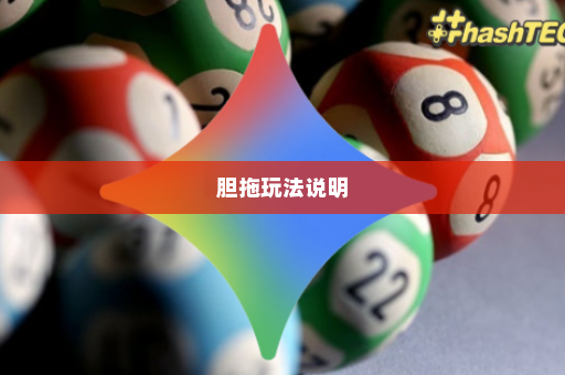 胆拖玩法说明