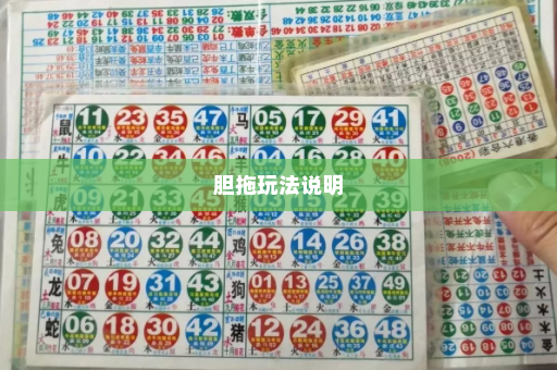 胆拖玩法说明