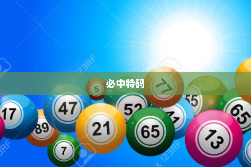 必中特码