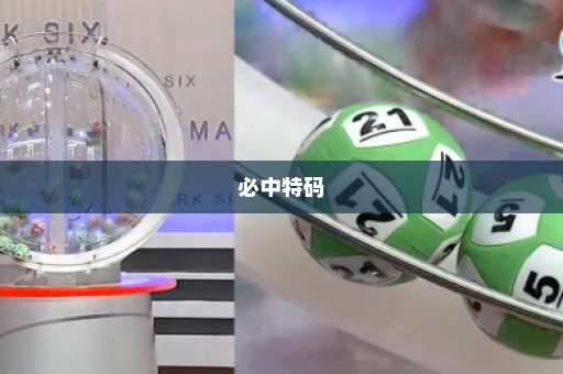 必中特码