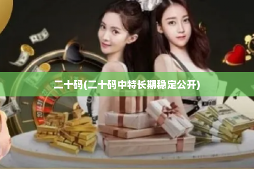 二十码(二十码中特长期稳定公开)