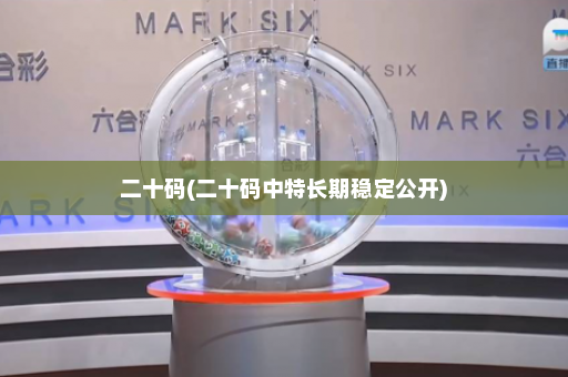 二十码(二十码中特长期稳定公开)