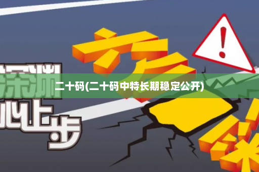 二十码(二十码中特长期稳定公开)