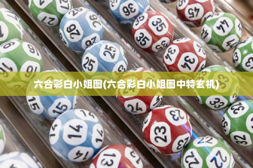 六合彩白小姐图(六合彩白小姐图中特玄机)