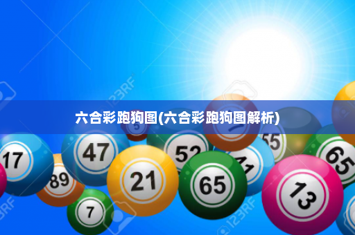 六合彩跑狗图(六合彩跑狗图解析)