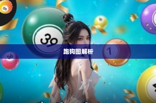 跑狗图解析