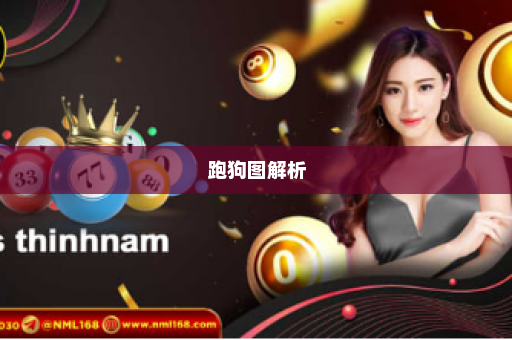 跑狗图解析