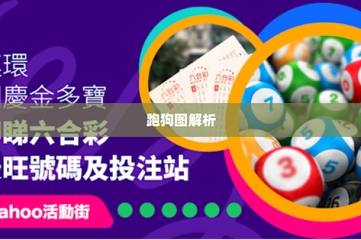 跑狗图解析
