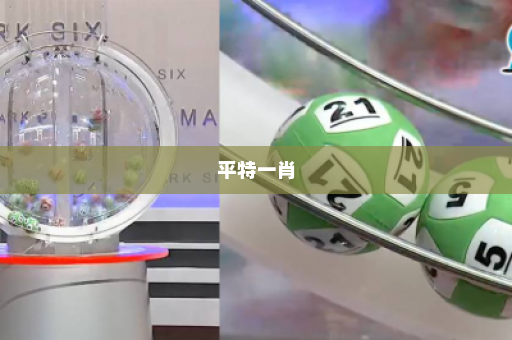 平特一肖