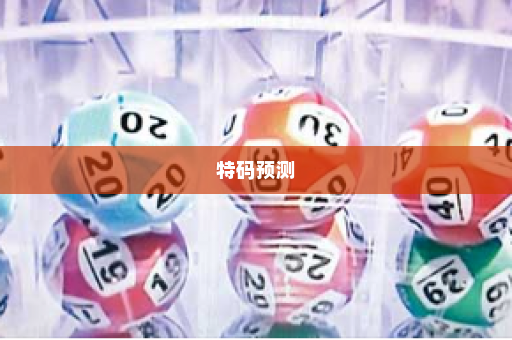 特码预测