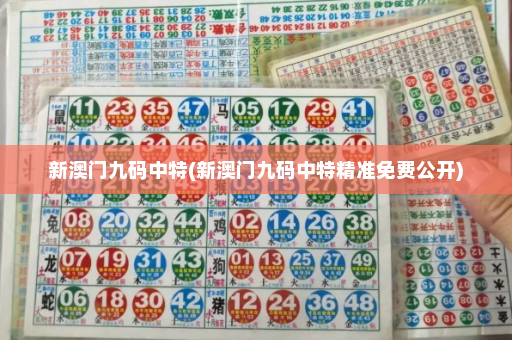 新澳门九码中特(新澳门九码中特精准免费公开)