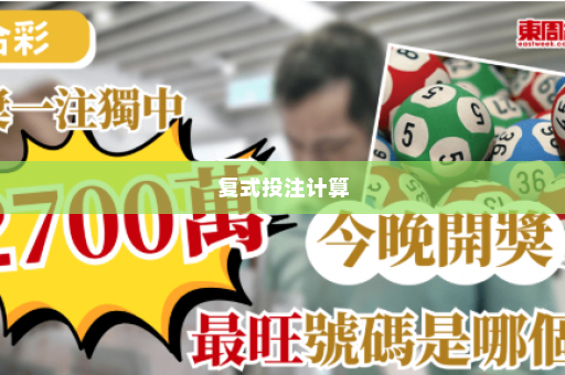 复式投注计算