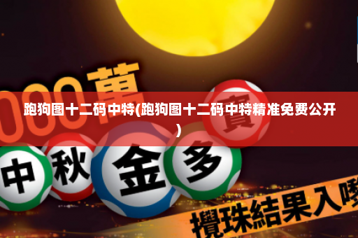 跑狗图十二码中特(跑狗图十二码中特精准免费公开)