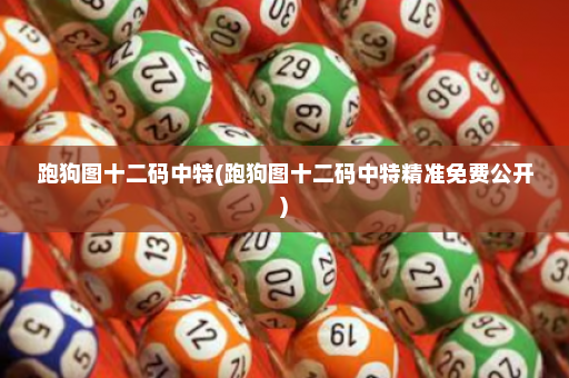 跑狗图十二码中特(跑狗图十二码中特精准免费公开)