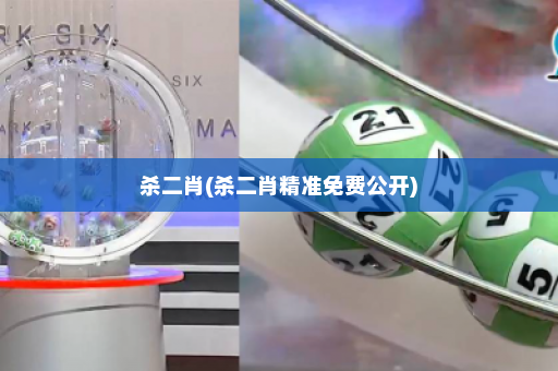 杀二肖(杀二肖精准免费公开)