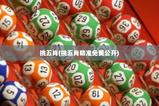 挑五肖(挑五肖精准免费公开)