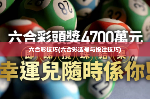 六合彩技巧(六合彩选号与投注技巧)