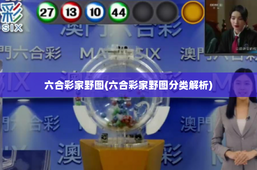 六合彩家野图(六合彩家野图分类解析)