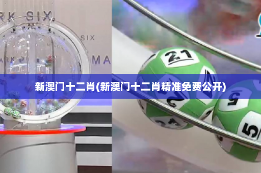 新澳门十二肖(新澳门十二肖精准免费公开)