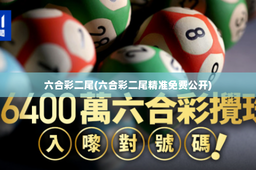 六合彩二尾(六合彩二尾精准免费公开)