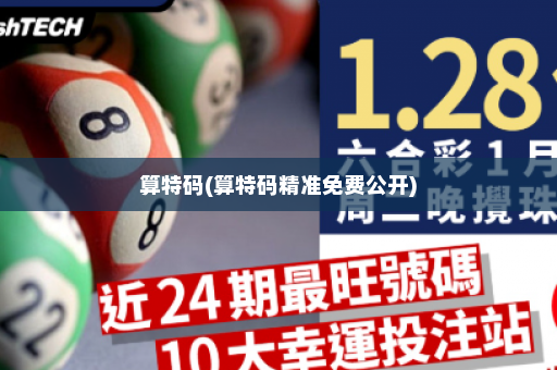算特码(算特码精准免费公开)