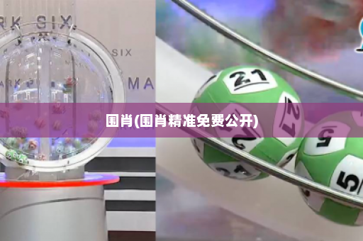 围肖(围肖精准免费公开)