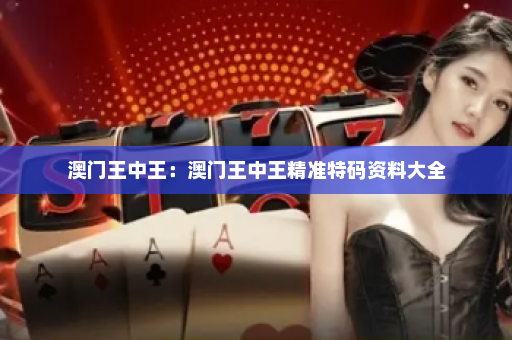 澳门王中王：澳门王中王精准特码资料大全