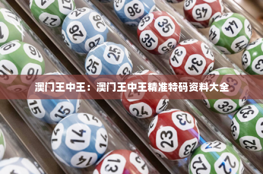 澳门王中王：澳门王中王精准特码资料大全