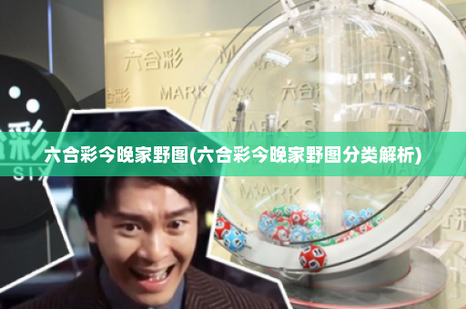 六合彩今晚家野图(六合彩今晚家野图分类解析)