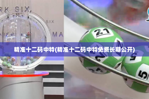 精准十二码中特(精准十二码中特免费长期公开) 精准十二码中特(精准十二码中特免费长期公开)