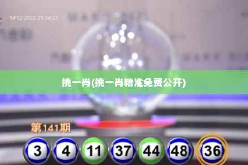 挑一肖(挑一肖精准免费公开)